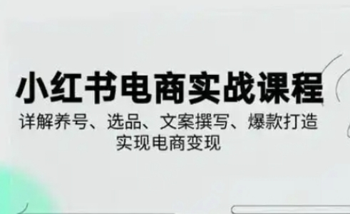 小红书从0-1实操课(2023-2025)，详解养号、选品、文案撰写、爆款打造实现电商变现-中创网-创业项目大全