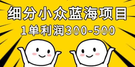 细分小众蓝海项目，一单利润3张，每月收入稳定过1w+-中创网-创业项目大全