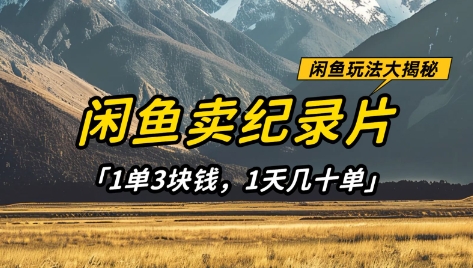 闲鱼卖纪录片1单3块钱，1天几十单，项目稳定有潜力-中创网-创业项目大全