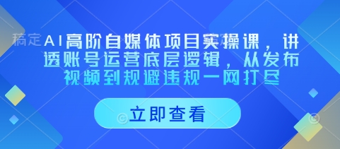 AI高阶自媒体项目实操课，讲透账号运营底层逻辑，从发布视频到规避违规一网打尽-中创网-创业项目大全