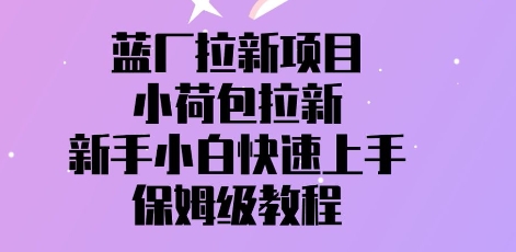 蓝厂拉新项目，小荷包拉新，新手小白快速上手，保姆级教程-中创网-创业项目大全