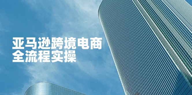 （14252期）亚马逊跨境电商全流程实操，教你从零开始，掌握店铺运营与广告技巧-中创网-创业项目大全