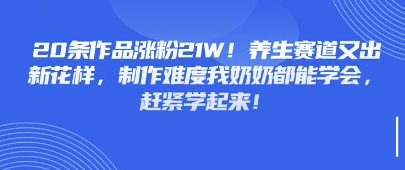 20条作品涨粉21W！养生赛道又出新花样，制作难度我奶奶都能学会，赶紧学起来-中创网-创业项目大全