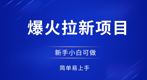 爆火拉新项目，有手就行，小白轻松入门，日入1张拉新整套流程-中创网-创业项目大全