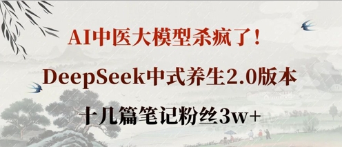 AI中医大模型杀疯了！DeepSeek中式养生2.0版本，十几篇笔记粉丝3w+-中创网-创业项目大全