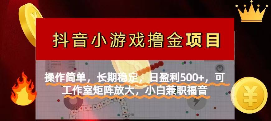 （14290期）【抖音小游戏发行人计划项目】操作简单，长期稳定，日盈利500+，可工作…-中创网-创业项目大全