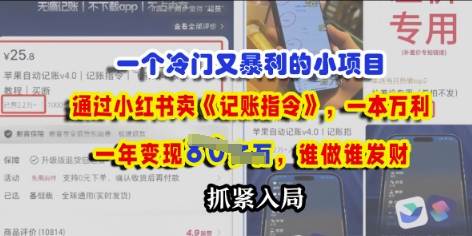 一个冷门需求，通过小红书卖《记账指令》，一本万利，谁做谁发，抓紧入局-中创网-创业项目大全
