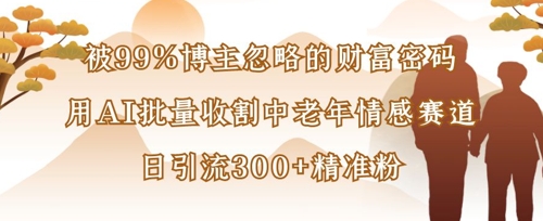被99%博主忽略的财富密码：用AI批量收割中老年情感赛道，日引流300+精准粉-中创网-创业项目大全