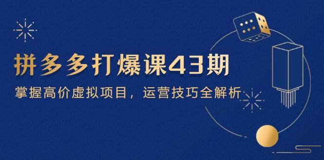 拼多多打爆课第 43 期，掌握高价虚拟项目，运营技巧全解析（15节）-中创网-创业项目大全