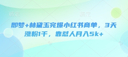 即梦+林黛玉完爆小红书商单，3天涨粉1千，靠怼人月入5k+-中创网-创业项目大全