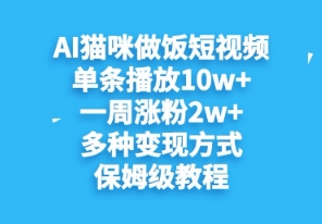AI猫咪做饭短视频，单条播放10w+，一周涨分2w+，多种变现方式，保姆级教程-中创网-创业项目大全