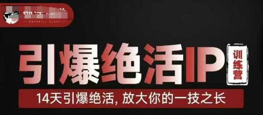 引爆绝活IP训练营，14天引爆绝活，放大你的一技之长-中创网-创业项目大全