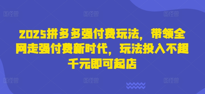 2025拼多多强付费玩法，带领全网走强付费新时代，玩法投入不超千元即可起店-中创网-创业项目大全