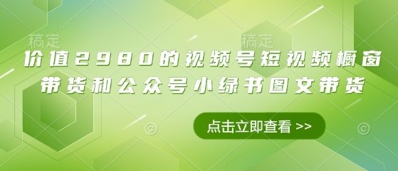 价值2980的视频号短视频橱窗带货和公众号小绿书图文带货-中创网-创业项目大全