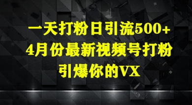 一天打粉日引流500+，4月份最新视频号打粉，引爆你的微信-中创网-创业项目大全
