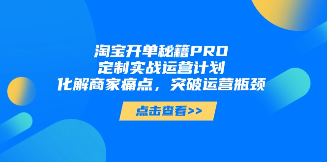 （14642期）淘宝开单秘籍PRO，定制实战运营计划，化解商家痛点，突破运营瓶颈-中创网-创业项目大全